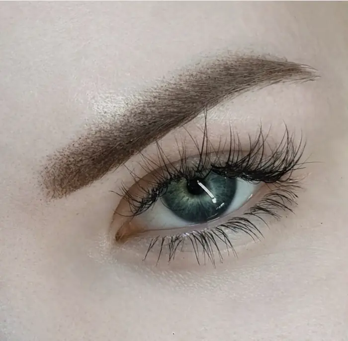 Permanent make-up: a healed brow, worked hair-stroke by hair-stroke to follow the natural shape.